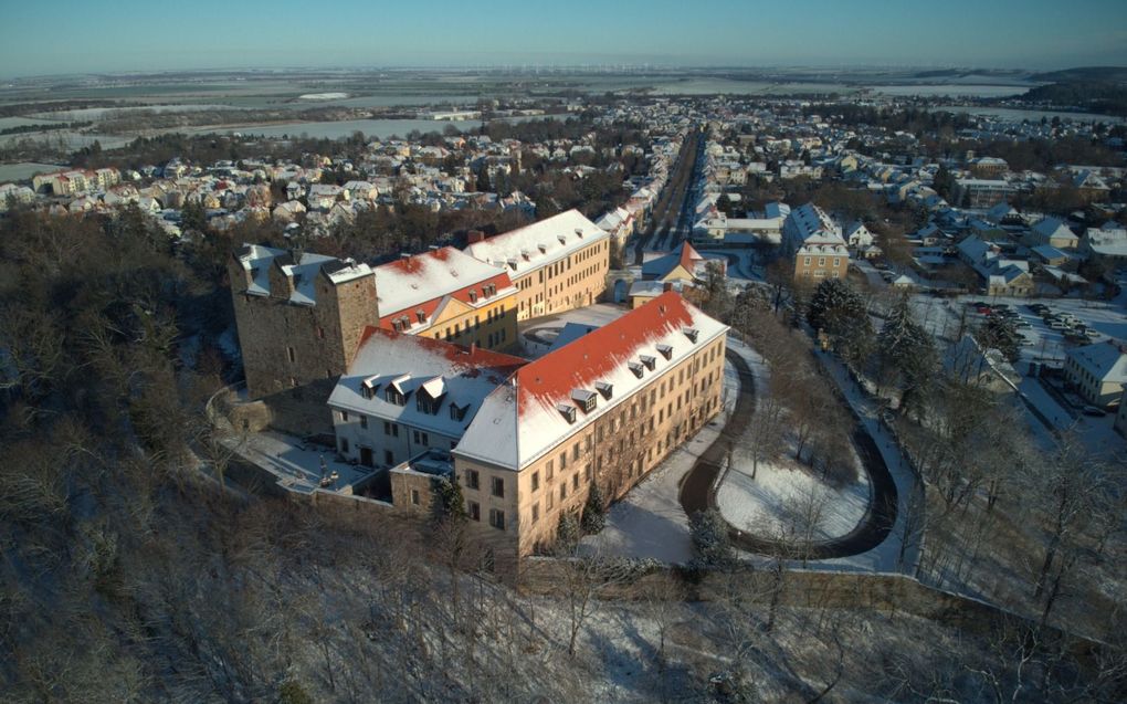 De hertogen van Anstalt bewoonden slot Ballenstedt. beeld Wikimedia