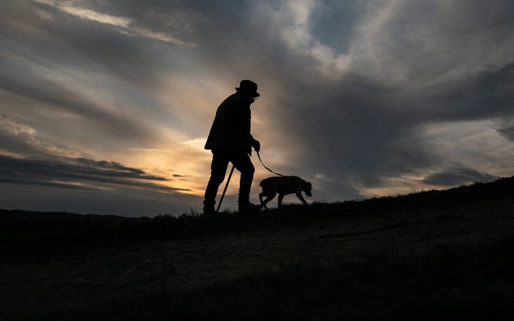 Truffeljager Tino Marolo, samen met zijn hond Kikka op zoek naar witte truffels in de Italiaanse regio Piëmont. beeld AFP, Marco Bertorello