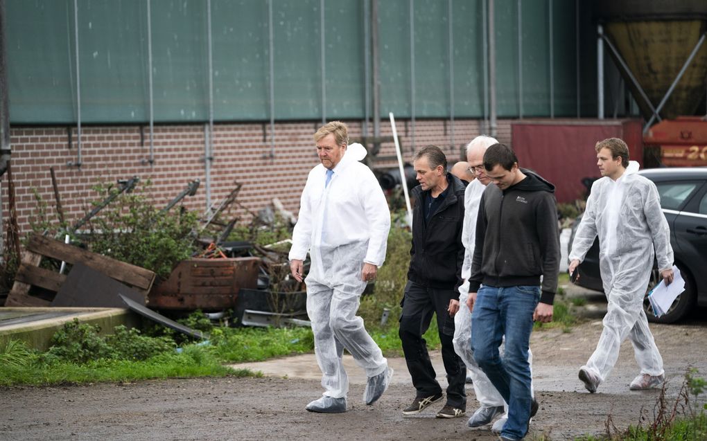 Koning Willem-Alexander brengt samen met demissionair minister Piet Adema (Landbouw, Natuur en Voedselkwaliteit) een bezoek aan een veehouder die getroffen is door het blauwtongvirus. Er worden dagelijks bedrijven geinfecteerd met het blauwtongvirus. beeld ANP, Jeroen Jumelet