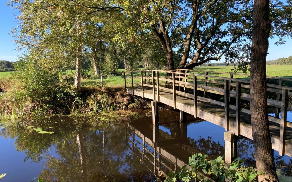 beeld Geertje Bikker-Otten