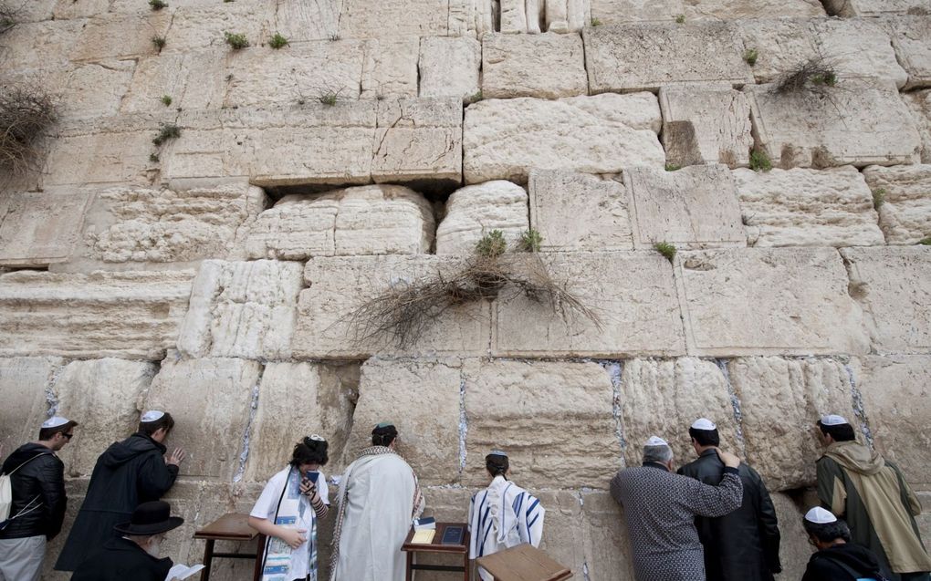 De Klaagmuur in Jeruzalem. Joden werden in 1948 uit hun huis gezet toen Jordaniërs de Oude Stad bezetten. beeld ANP, Robert Vos