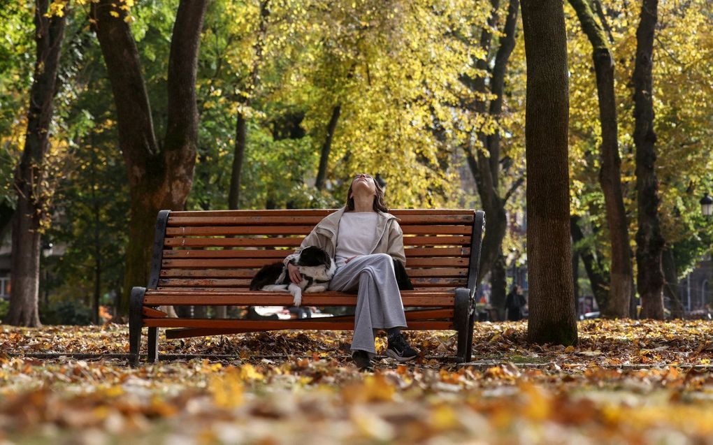 beeld AFP, Anatolii Stepanov