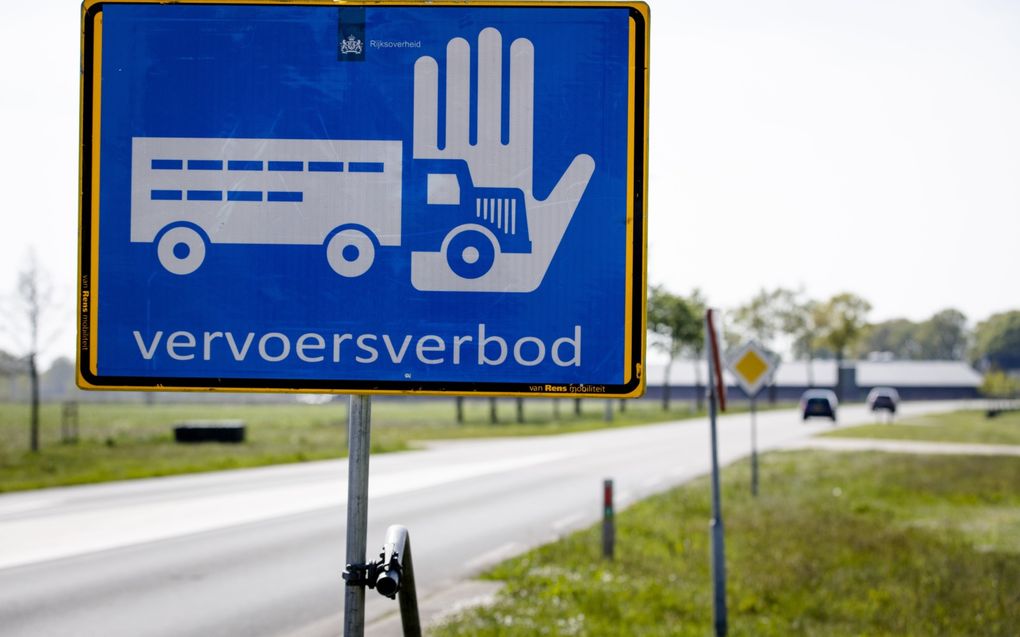 Tot 10 kilometer van het besmette bedrijf in Renswoude geldt sinds zaterdag een vervoersverbod voor pluimvee en eieren (archieffoto). beeld ANP, Sem van der Wal