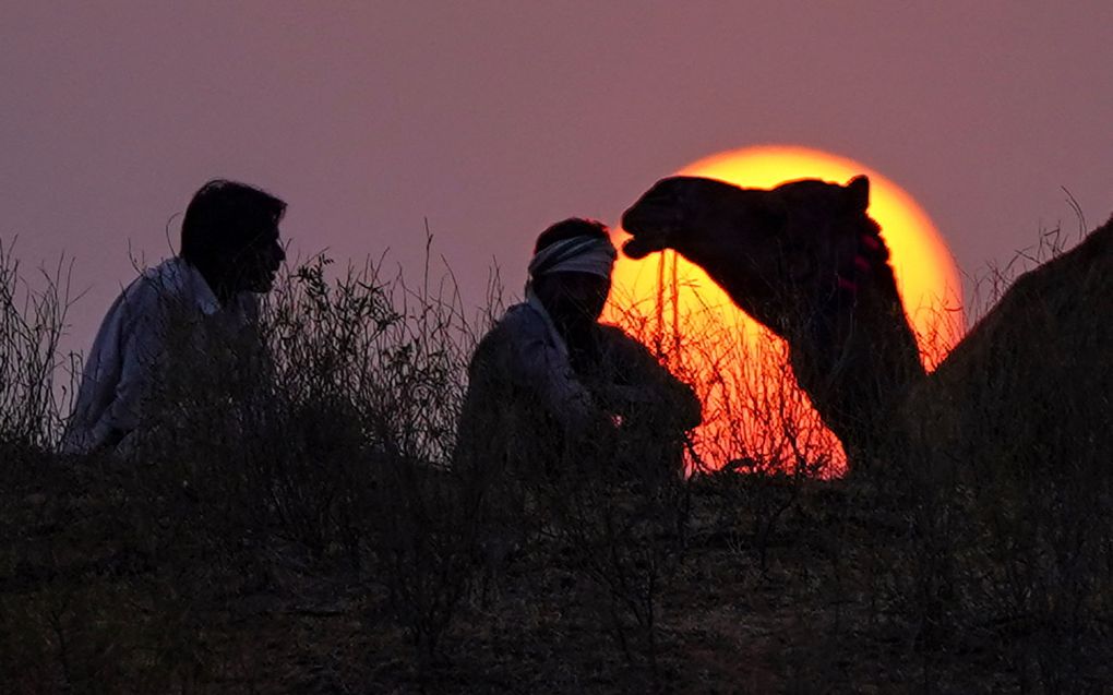 Kameelherders zitten bij zonsondergang op een camping in de buurt van hun kamelen tijdens de jaarlijkse Camel Fair in Pushkar in de woestijnstaat Rajasthan in India. Beeld AFP, Himanshu Sharma