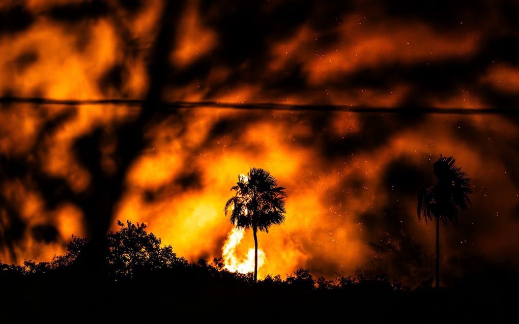 Bosbrand in Brazilië. beeld EPA, Isaac Fontana