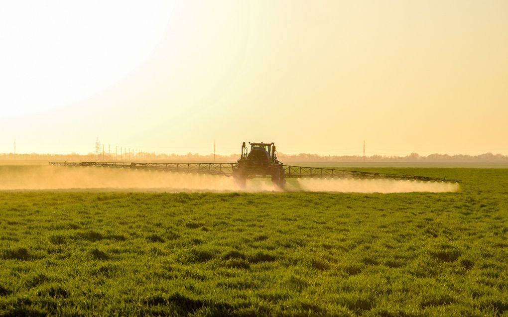 Goede alternatieven voor glyfosaat zijn er in de reguliere landbouw niet. beeld iStock