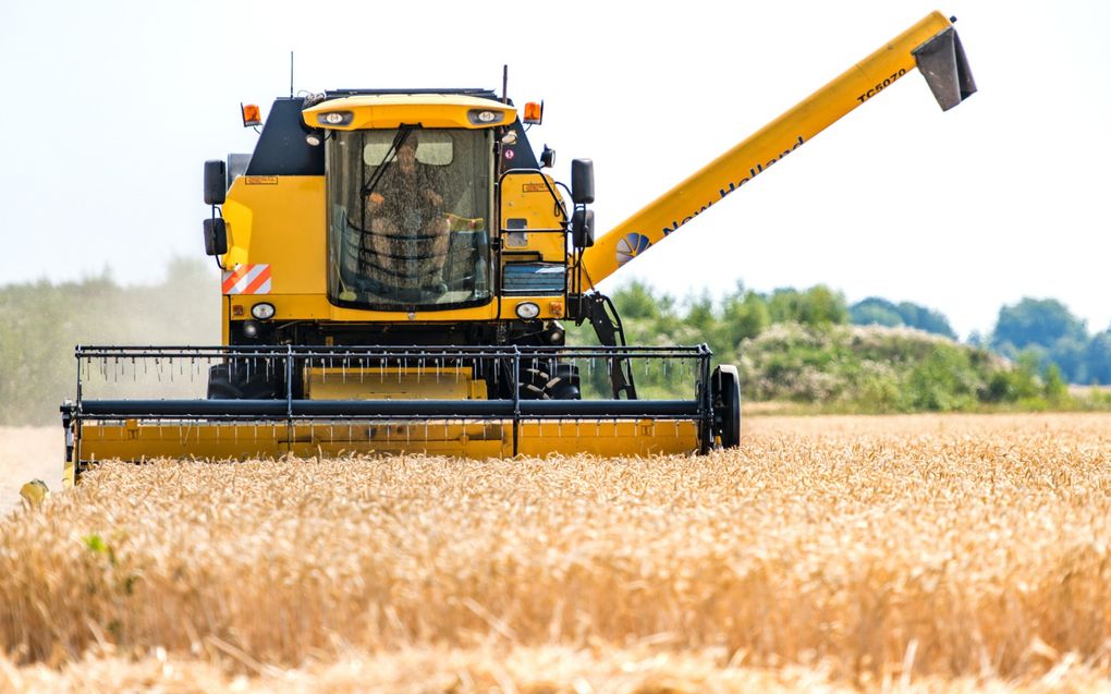 „Bijna een derde deel van de voedselproductie wordt niet geconsumeerd.” beeld ANP,