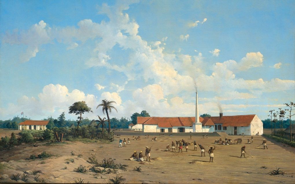 Suikerfabriek ”Kemanglen” bij Tegal op Java, rond 1875 geschilderd door Ab Salm. In 1830 voerde Nederland in Nederlands-Indië het cultuurstelsel in. De bevolking van Java moest verplicht een aantal gewassen verbouwen die bestemd waren voor de export. beeld Rijksmuseum Amsterdam