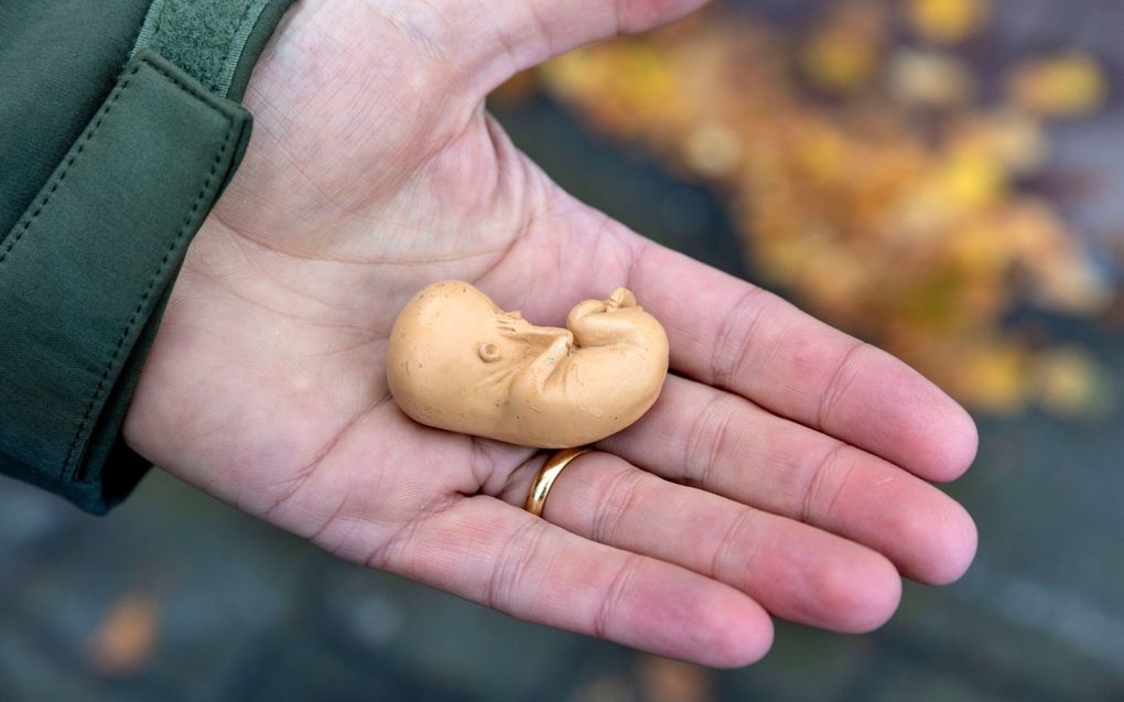 Kamerleden reageren woedend op het toesturen van een plastic foetus door Civitas Christiana. beeld RD, Anton Dommerholt