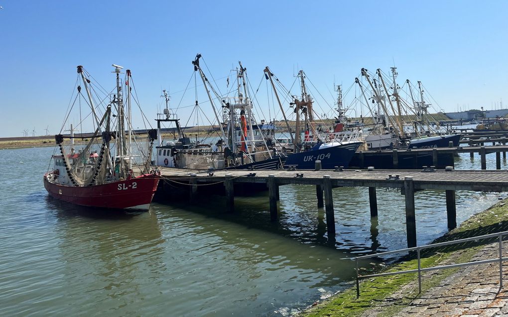 Kotters in de haven van Stellendam. beeld RD