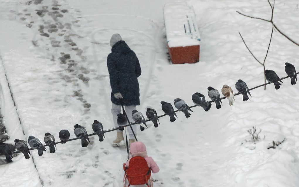 Winterweer in Oekraïne. De Europese Commissie stuurt 500 extra energiegeneratoren naar het land. beeld  EPA, Sergey Dolzhenko