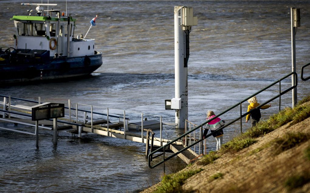 Hoogwater bij Tolkamer, dinsdag. beeld ANP, Koen van Weel