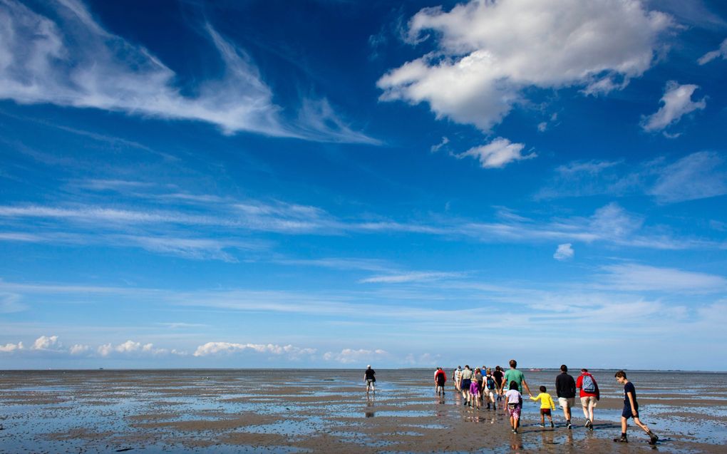 Wadlopers. beeld Dick Vos