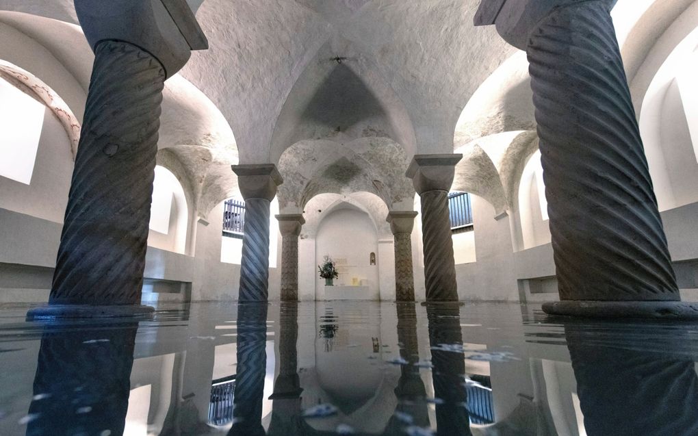 De spiegeling in het water zorgt voor bijzondere beelden. beeld Ruben Meijerink