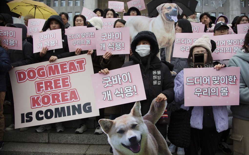 Leden van dierenactivistengroepen houden in de Zuid-Koreaanse hoofdstad Seoul een spandoek omhoog met ”Tot ziens hondenvlees”. De activisten zijn blij met het besluit van het Zuid-Koreaanse parlement om de productie en verkoop van hondenvlees te verbieden. Op overtreding komen hoge straffen te staan. Door het verbod komt in het Aziatische land een einde aan de eeuwenoude traditie van het eten van hond. beeld EPA, Jeon Heon-Kyun