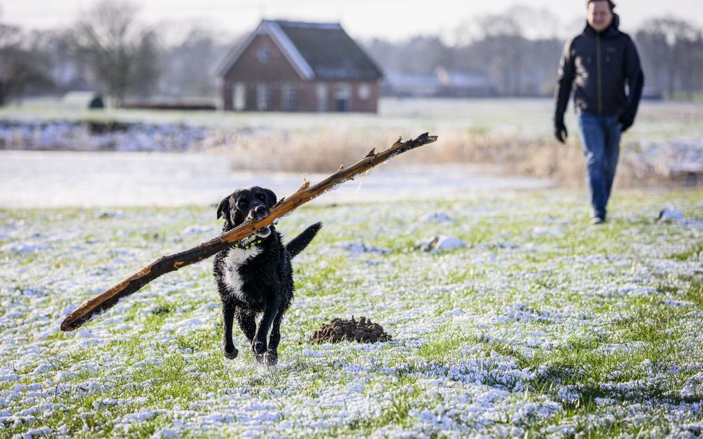 Een wandelaar in de kou bij het Zuidlaardermeer. beeld ANP, Emiel Muijderman