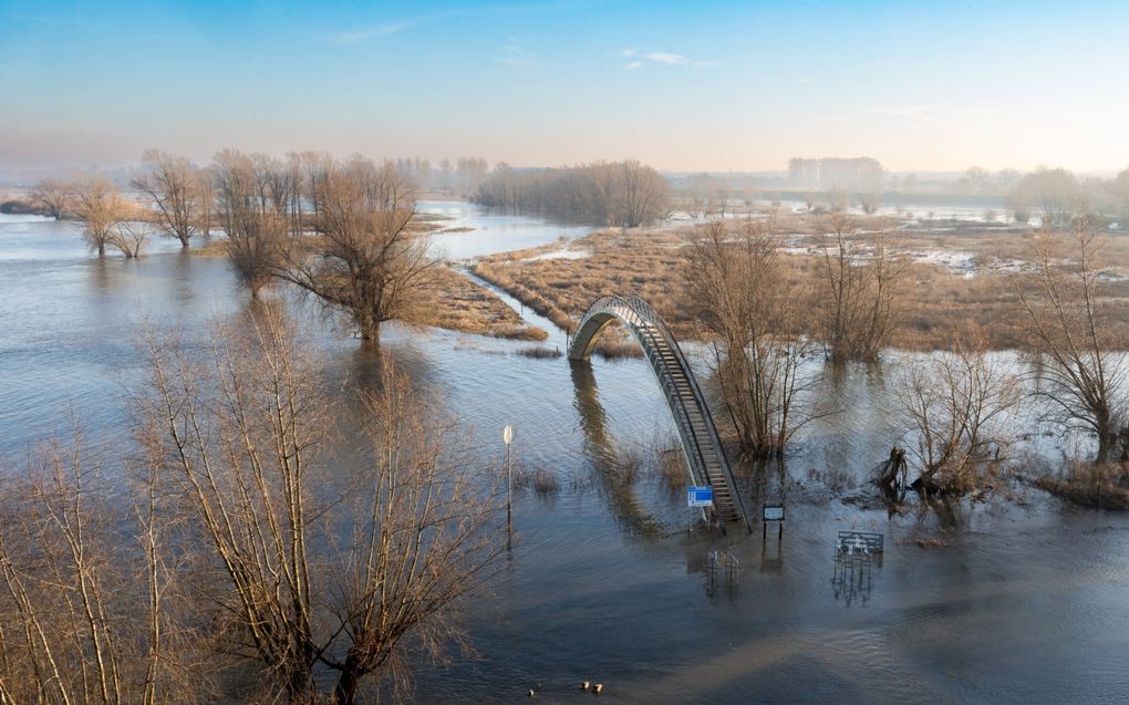 Een voetgangersbrug in de uiterwaarden van de Waal bij Nijmegen. beeld RD, Anton Dommerholt