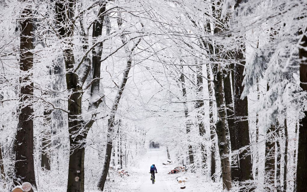 Sneeuw in Heidelberg, in het zuidwesten van Duitsland. beeld AFP, Daniel Roland