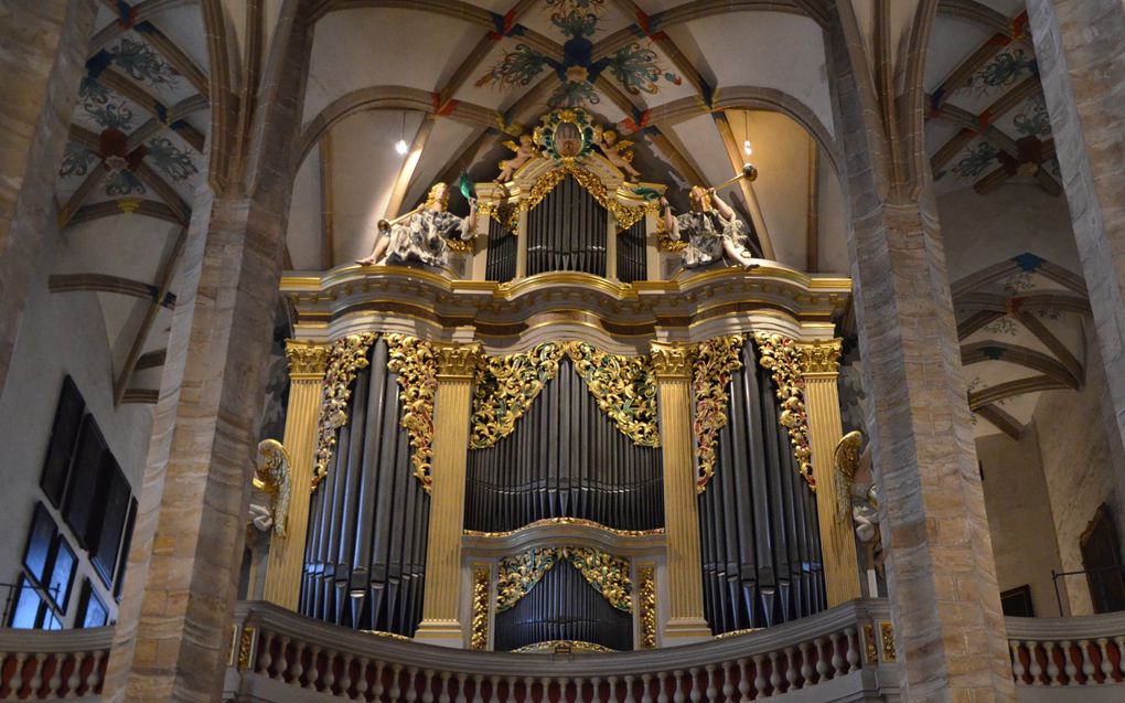 Het hoofdorgel van Silbermann in de Dom van Freiberg kwam in 1714 gereed. beeld Gert de Looze