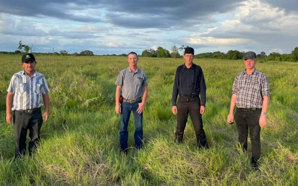 Mennonieten in Suriname. beeld Terra Invest