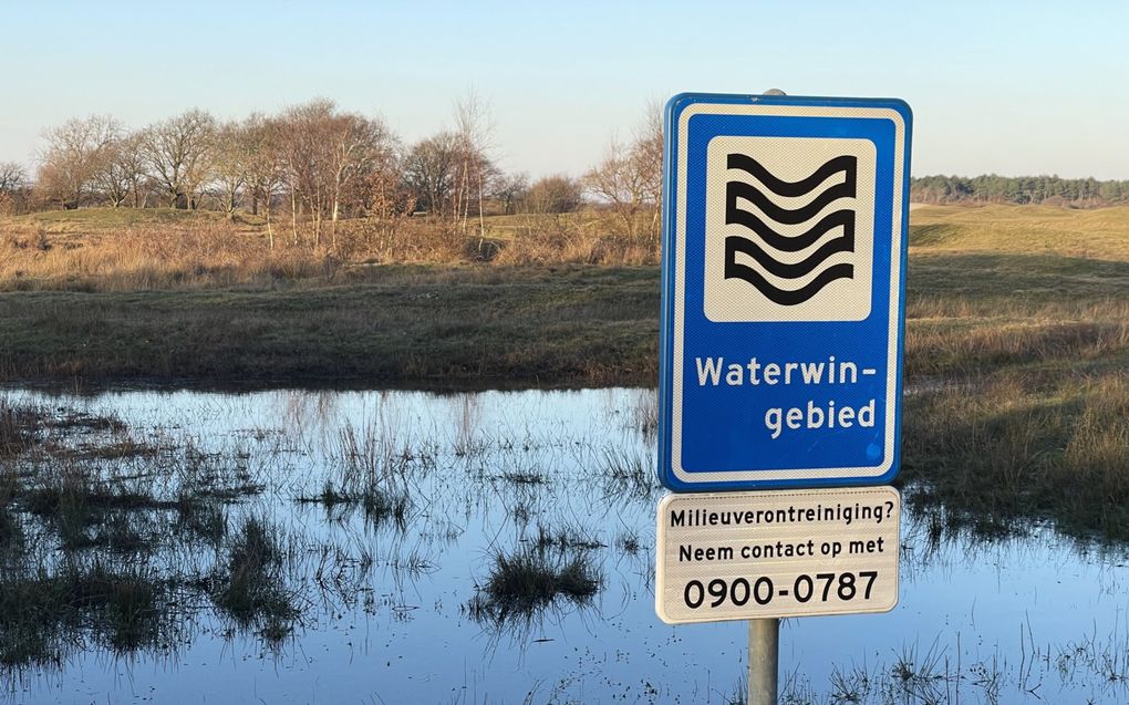 Waterwingebied bij Ouddorp, op Goeree Overflakkee. beeld ANP, Peter Hilz