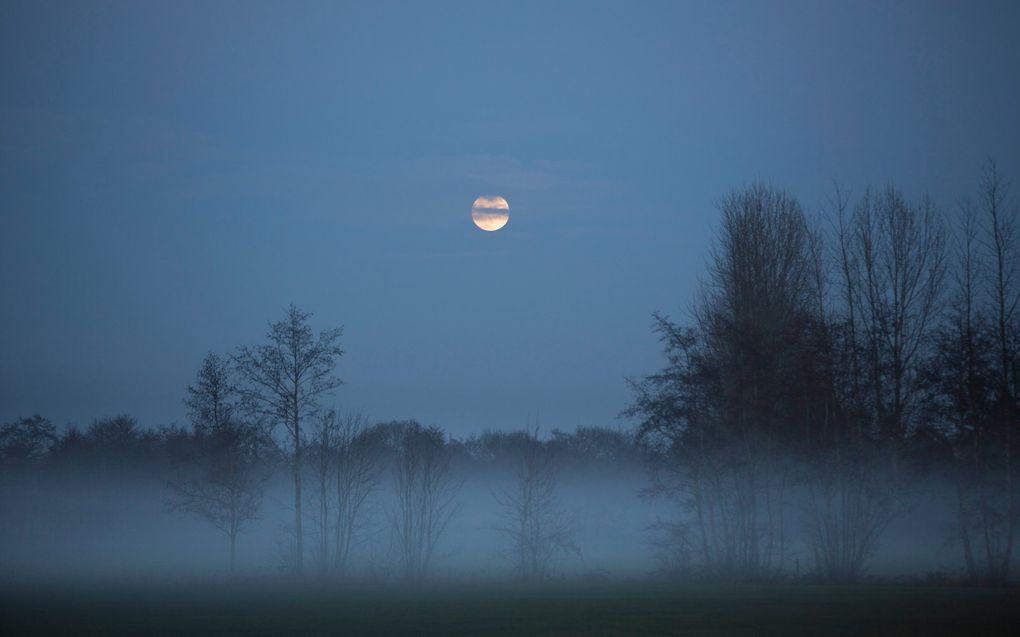 beeld Sjaak Verboom