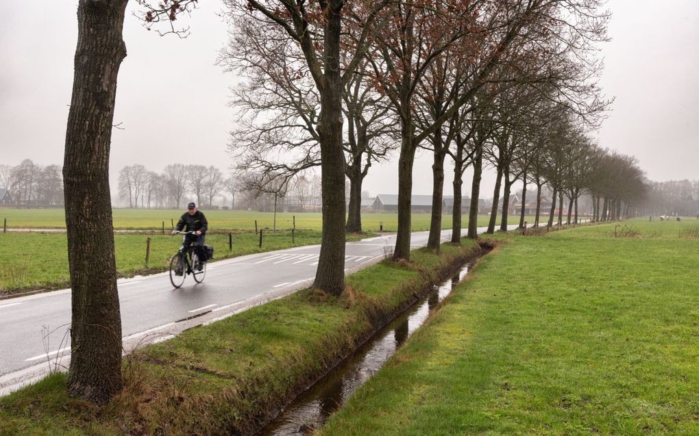 Buitengebied in de gemeente Barneveld. De gemeente komt dit jaar met nieuw beleid voor percelen van stoppende boeren. beeld RD, Anton Dommerholt