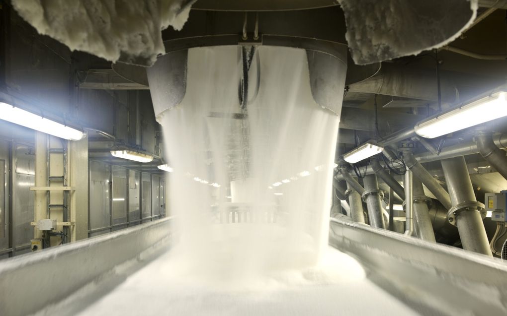 Transport van kristalsuiker in een fabriek van Cosun. beeld Cosun