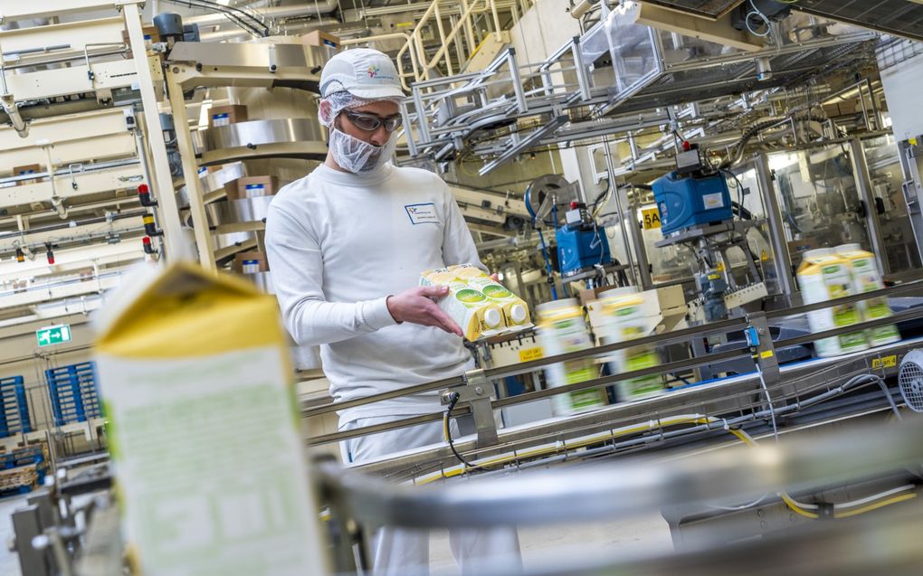 Productielijn in een vestiging van zuivelconcern FrieslandCampina. beeld ANP, Lex van Lieshout