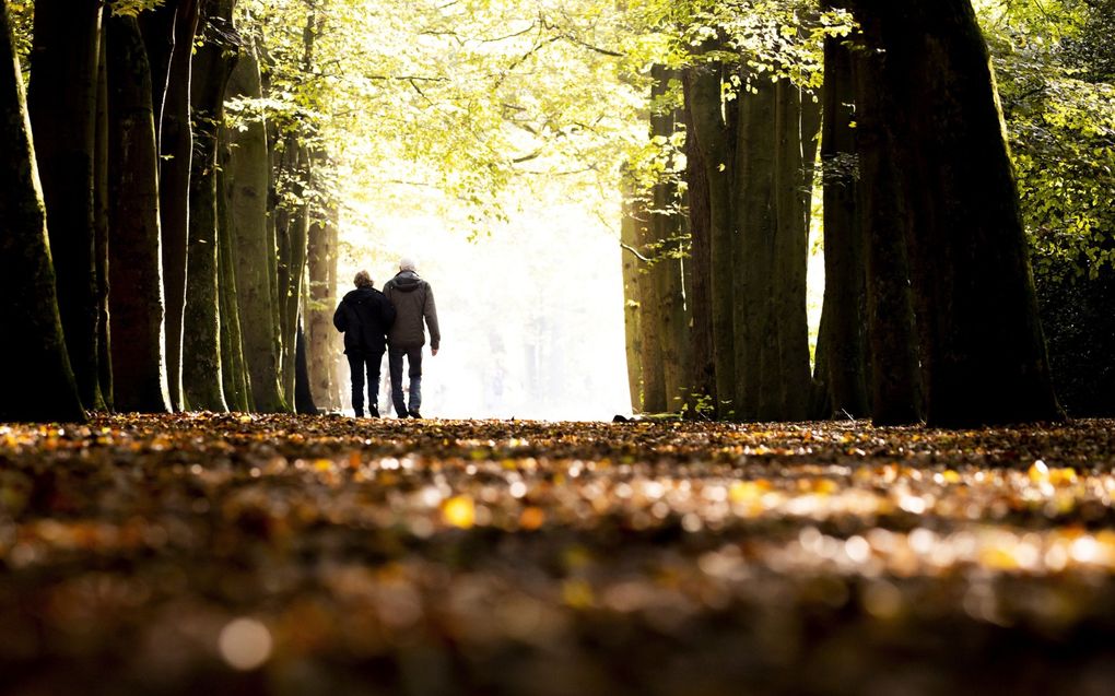 Wandelen op doktersrecept is zo gek nog niet: studies laten onmiskenbaar het positieve effect van wandelen en sporten zien bij mensen met een depressie. beeld ANP, Koen van Weel