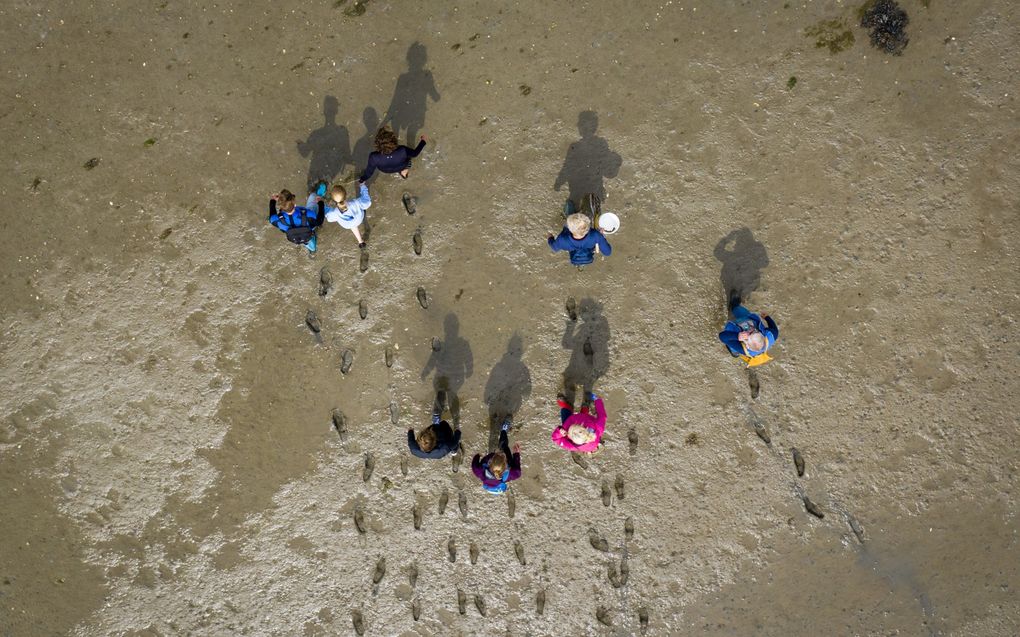 De Waddenzee moet rechten krijgen vinden diverse politieke partijen in Nederland. beeld ANP, Sem van der Wal