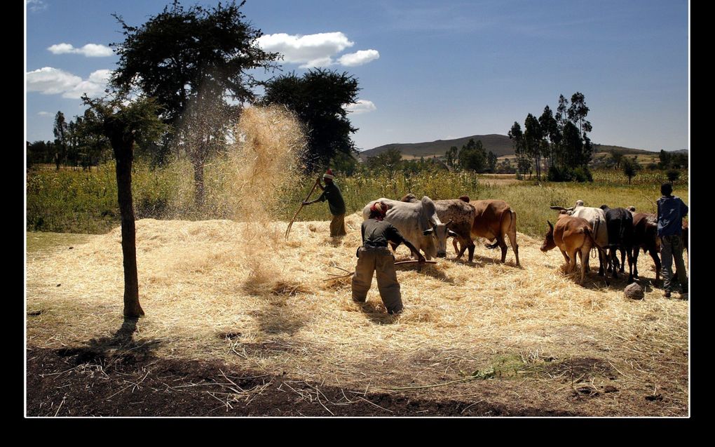 „Een goede digitale infrastructuur ontbreekt nog op veel plekken in Afrika.” beeld Sjaak Verboom