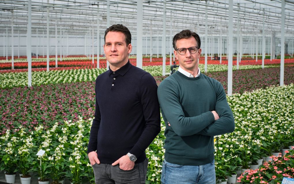 David (l.) en Pieter Stolk zijn de vierde generatie die aan het roer van het familiebedrijf staat. beeld Fred Libochant