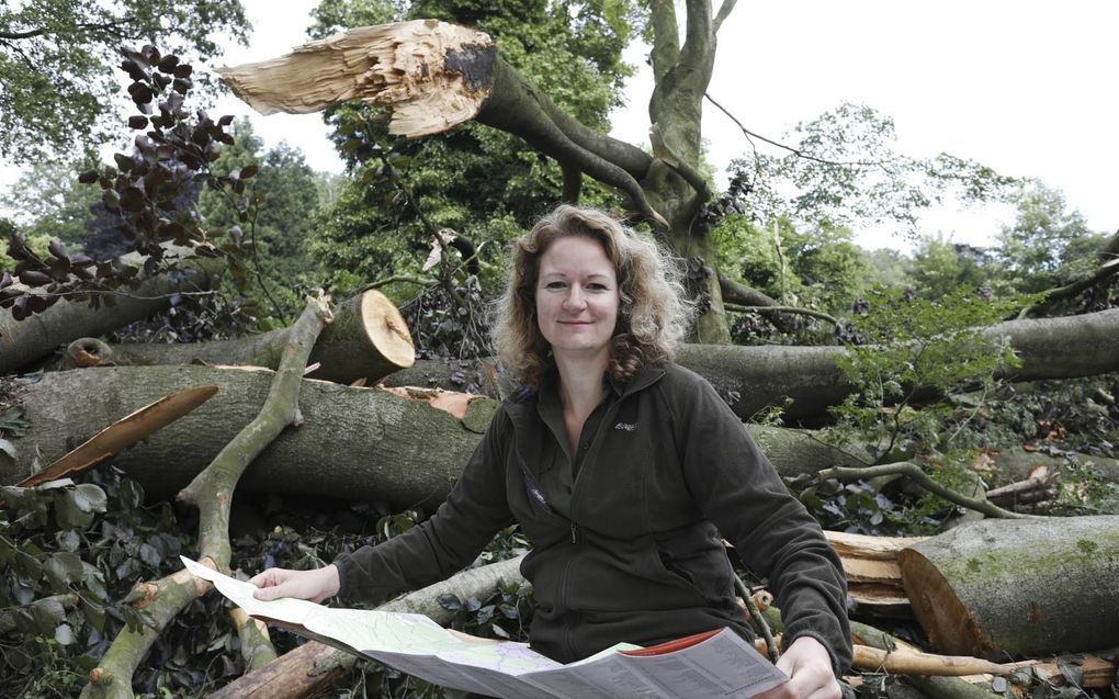 Boswachter José Lamain van Natuurmonumenten bekijkt bij de puinhopen van de tornado, de kaart van Nationaal Park de Veluwezoom.  beeld VidiPhoto