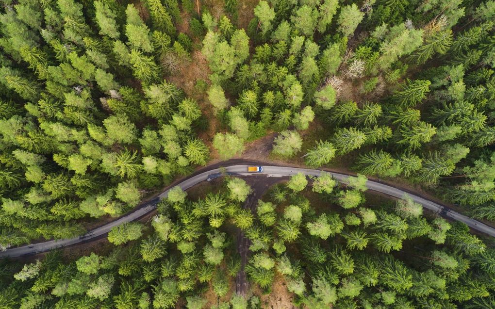 Er wordt gereisd in ”De goede zoon”, maar het verhaal leidt ogenschijnlijk nergens naartoe. Toch is de belangrijkste conversatie van de hoofdpersoon die met een zelfrijdende en sprekende auto. Daar wordt duidelijk wat de kern van de roman is: verlies van