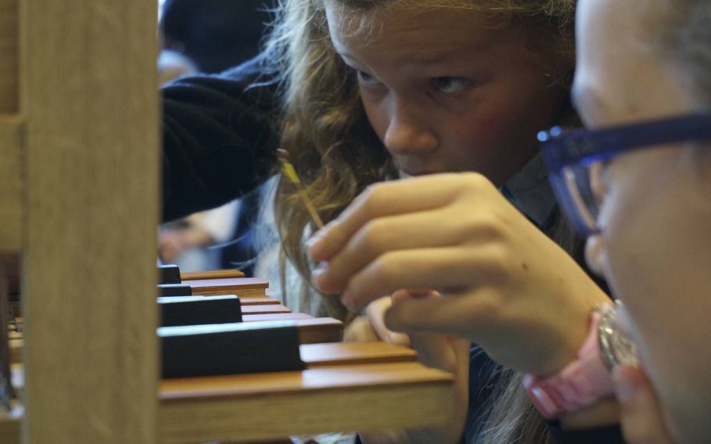beeld Orgelkids