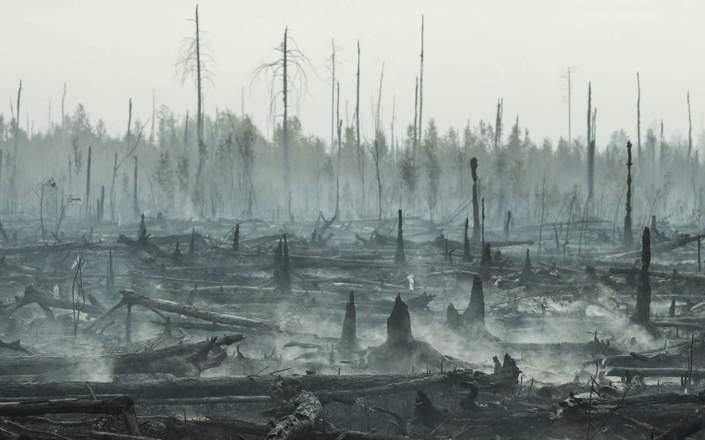 Een bosbrand heeft eind juni een gedeelte van het noordwestelijke district Rjazanski in as gelegd. beeld TASS, Alexander Ryumin