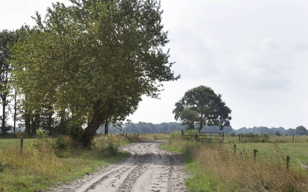 Het kerkenpad tussen Yde en Vries in Drenthe. Beeld RD, Anton Dommerholt