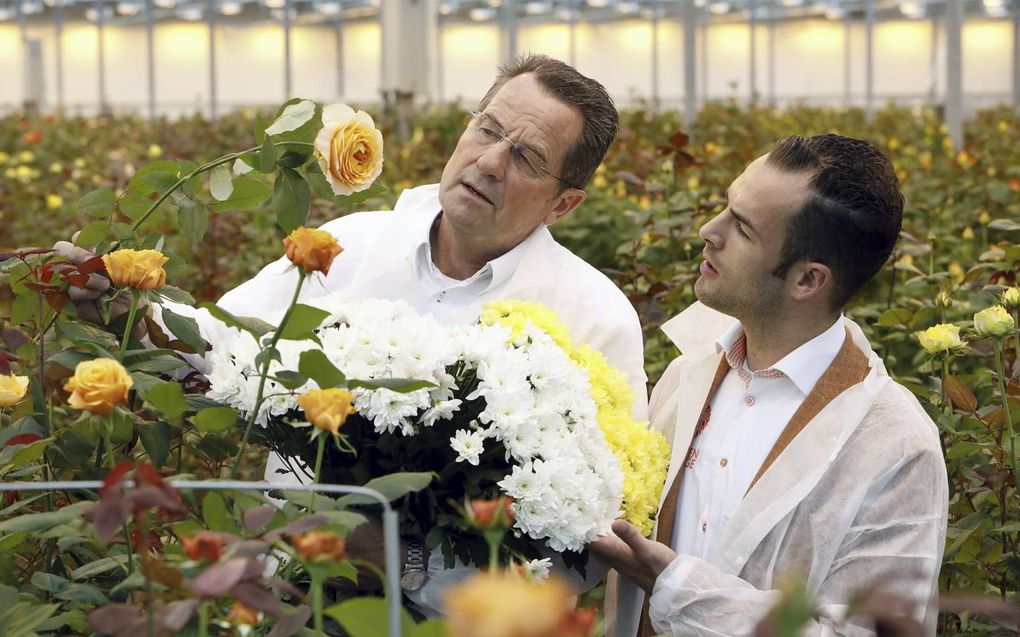 Bloemarrangeur Ton Verzijl (l.) uit Wassenaar selecteert met Roy van Kester van veredelingsbedrijf Dümmen Orange bloemen voor de decoratie van de Ridderzaal tijdens Prinsjesdag.  beeld VidiPhoto