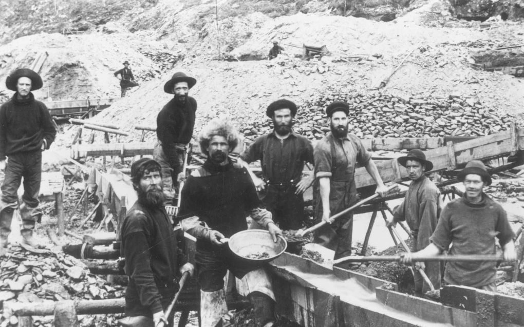 Hard werken was voor veel goudzoekers geen probleem, wel de grote mate van wetteloosheid in het Wilde Westen. beeld Wikimedia