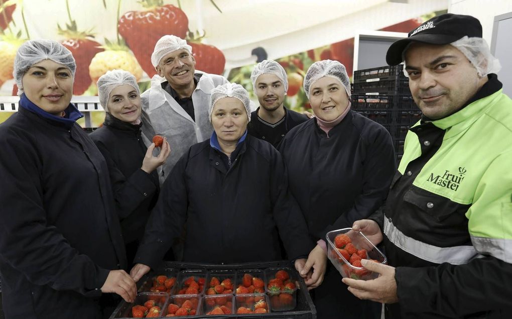 Directeur Cees van Doorn (3e van l.) van uitzendbureau VDU uit Waardenburg is zeer tevreden over nieuwe arbeidsmigranten uit Moldavië. beeld VidiPhoto