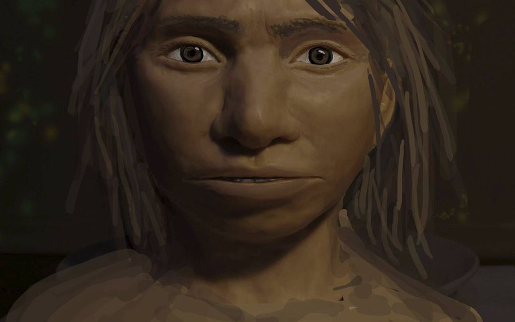 David Gokhman en Liram Carmel van de Amerikaanse Stanford University reconstrueerden het uiterlijk van de Denisovamens met een DNA-monster uit een fossiel vingerkootje. beeld Nature, Maayan Harel