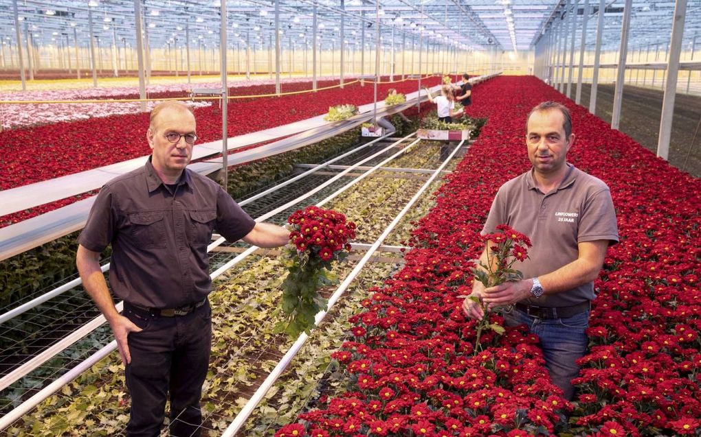 De broers David (r.) en Rochus van Tuijl zijn geschrokken van de verhoging van het opslagtarief op netstroom. „Dit verstoort de verduurzaming in onze sector”, zegt David. beeld RD, Anton Dommerholt