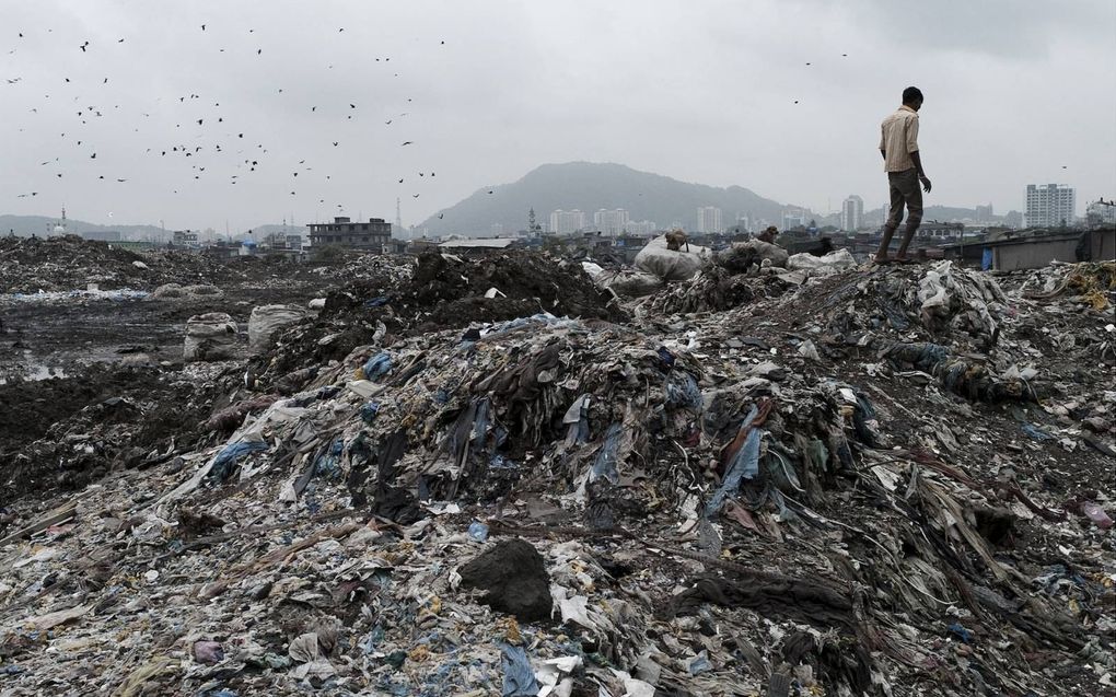 Deonar Dumping Ground, de grootste afvalberg in India, ligt bezaaid met e-waste. beeld colombotelegraph.com