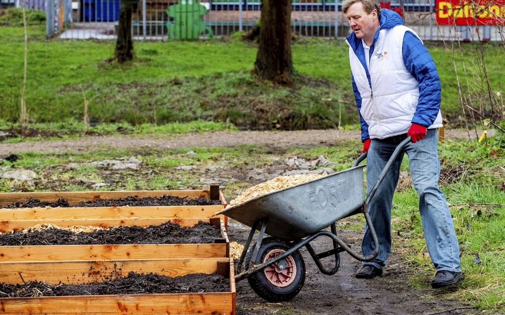 Koning Willem-Alexander stak in maart bij een kinderboerderij in Soest de handen uit de mouwen op de nationale vrijwilligersdag NLDoet. Vandaag is het Nationale Vrijwilligersdag. beeld ANP, Patrick van Katwijk