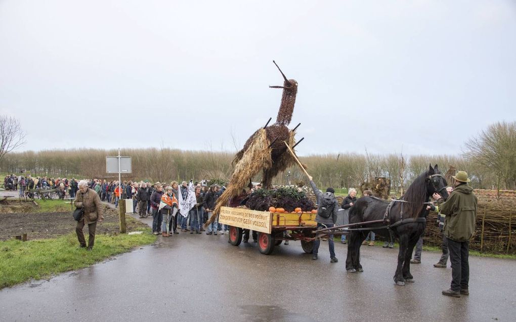 Een nagemaakte grutto is het boegbeeld van de wandelstoet. beeld ND, Hans-Lukas Zuurman