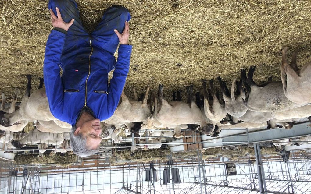 Ambtenaar Cees Kruyt wilde in het zicht van zijn pensioen iets heel anders gaan doen. beeld A. M. Alblas