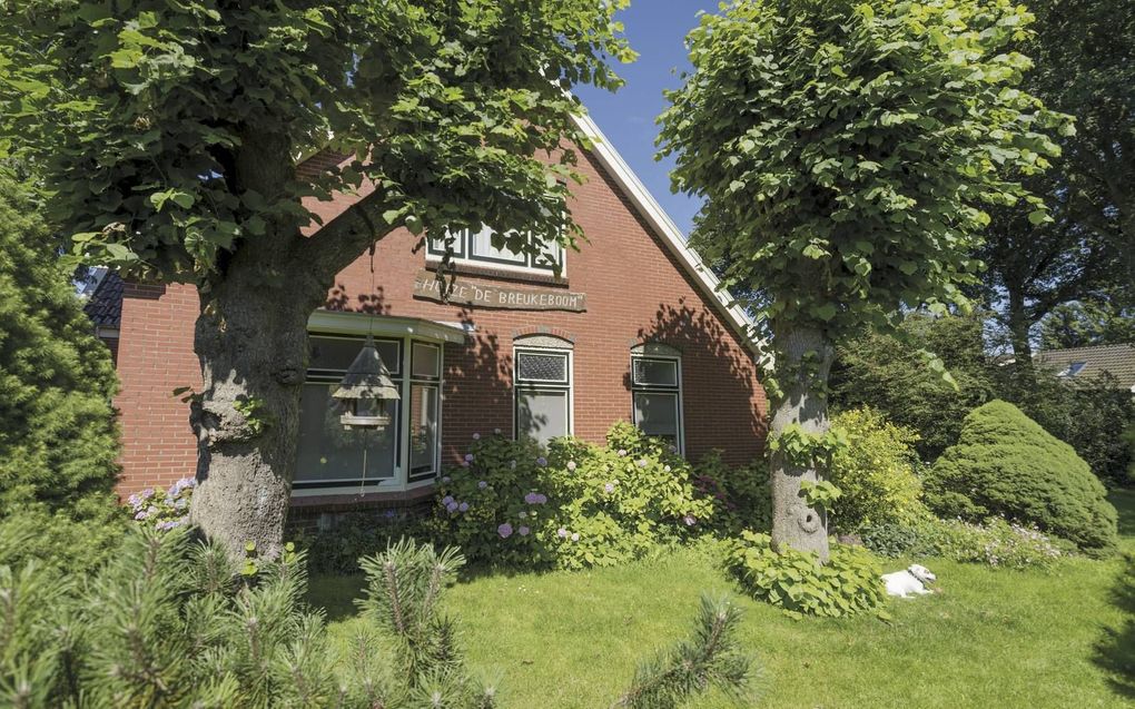 De spijkerboom in Yde. beeld Sjaan van der Jagt