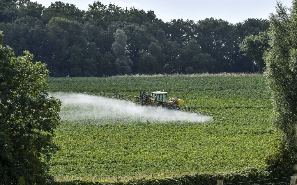 In de huidige testpraktijk blijven de combinatie- en stapeleffecten van landbouwgiffen buiten beeld. Evenmin is bekend in hoeverre insectenstanden en biodiversiteit zich kunnen herstellen na een spuitbeurt. beeld AFP, Philippe Huguen