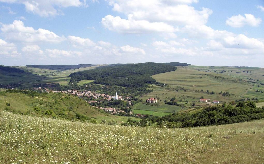 Het therapiecentrum van Stichting Bonus Pastor bevindt zich in Ozd, een dorpje op zo’n 100 kilometer afstand van de Roemeense stad Cluj. beeld Bonus Pastor Alapítvány